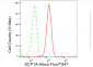 KD-Validated Anti-DCP1A Rabbit Monoclonal Antibody