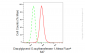 KD-Validated Anti-Diacylglycerol O-acyltransferase 1 Rabbit Monoclonal Antibody