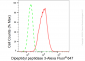 KD-Validated Anti-Dipeptidyl peptidase 3 Rabbit Monoclonal Antibody