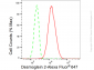 KD-Validated Anti-Desmoglein 2 Rabbit Monoclonal Antibody