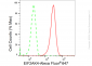KD-Validated Anti-EIF2AK4 Rabbit Monoclonal Antibody