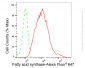 KD-Validated Anti-Fatty acid synthase Rabbit Monoclonal Antibody