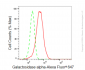 KD-Validated Anti-Galactosidase alpha Rabbit Monoclonal Antibody