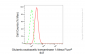 KD-Validated Anti-Glutamic-oxaloacetic transaminase 1 Rabbit Monoclonal Antibody
