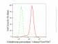 KD-Validated Anti-GPX1 Rabbit Monoclonal Antibody