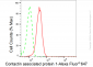 KD-Validated Anti-Contactin associated protein 1 Rabbit Monoclonal Antibody