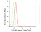KD-Validated Anti-TCEB2 Rabbit Monoclonal Antibody