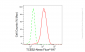 KD-Validated Anti-TCEB2 Rabbit Monoclonal Antibody