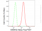 KD-Validated Anti-GEMIN2 Rabbit Monoclonal Antibody