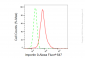 KD-Validated Anti-Importin 9 Rabbit Monoclonal Antibody