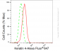 KD-Validated Anti-Keratin 4 Rabbit Monoclonal Antibody