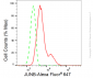 KD-Validated Anti-JUNB Rabbit Monoclonal Antibody