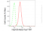 KD-Validated Anti-Hsp105 Rabbit Monoclonal Antibody