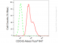 KD-Validated Anti-CDC42 Rabbit Monoclonal Antibody