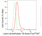 KD-Validated Anti-Lysine demethylase 1B Rabbit Monoclonal Antibody