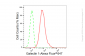 KD-Validated Anti-Galectin 1 Rabbit Monoclonal Antibody