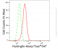 KD-Validated Anti-Huntingtin Rabbit Monoclonal Antibody