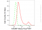 KD-Validated Anti-KHSRP Rabbit Monoclonal Antibody