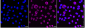 KD-Validated Anti-KHSRP Rabbit Monoclonal Antibody