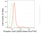 KD-Validated Anti-Phospho-JunD (S255) Rabbit Monoclonal Antibody