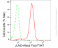 KD-Validated Anti-JunD Rabbit Monoclonal Antibody