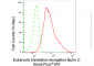KD-Validated Anti-Eukaryotic translation elongation factor 2 Rabbit Monoclonal Antibody