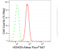 KD-Validated Anti-HDHD5 Rabbit Monoclonal Antibody
