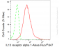 KD-Validated Anti-IL13 receptor alpha 1 Rabbit Monoclonal Antibody