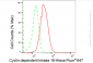 KD-Validated Anti-Cyclin dependent kinase 16 Rabbit Monoclonal Antibody