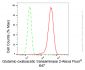KD-Validated Anti-Glutamic-oxaloacetic transaminase 2 Rabbit Monoclonal Antibody