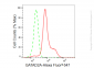 KD-Validated Anti-GATAD2A Rabbit Monoclonal Antibody