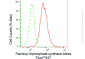 KD-Validated Anti-Farnesyl diphosphate synthase Rabbit Monoclonal Antibody