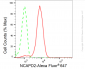 KD-Validated Anti-Non-SMC Condensin I Complex Subunit D2 Rabbit Monoclonal Antibody