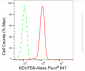 KD-Validated Anti-NDUFB9 Rabbit Monoclonal Antibody