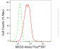 KD-Validated Anti-MAP Kinase Activating Death Domain Rabbit Monoclonal Antibody
