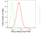 KD-Validated Anti-Musashi RNA Binding Protein 2 Rabbit Monoclonal Antibody