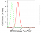 KD-Validated Anti-MAP3K2 Rabbit Monoclonal Antibody