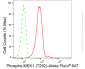 KD-Validated Anti-Phospho-MEK1 (T292) Rabbit Monoclonal Antibody