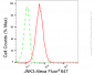 KD-Validated Anti-MAPK10 Rabbit Monoclonal Antibody