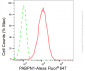 KD-Validated Anti-Poly(A) Binding Protein Nuclear 1 Rabbit Monoclonal Antibody