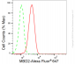 KD-Validated Anti-Methyl-CpG Binding Domain Protein 2 Rabbit Monoclonal Antibody