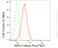 KD-Validated Anti-Non-Homologous End Joining Factor 1 Rabbit Monoclonal Antibody