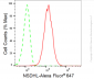 KD-Validated Anti-NSDHL Rabbit Monoclonal Antibody