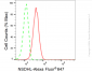 KD-Validated Anti-NSDHL Rabbit Monoclonal Antibody