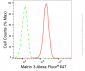 KD-Validated Anti-Matrin 3 Rabbit Monoclonal Antibody