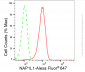 KD-Validated Anti-NAP1L1 Rabbit Monoclonal Antibody