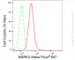 KD-Validated Anti-MARK2 Rabbit Monoclonal Antibody