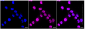 KD-Validated Anti-Galactosidase beta 1 Rabbit Monoclonal Antibody