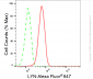 KD-Validated Anti-LYN Proto-Oncogene Rabbit Monoclonal Antibody