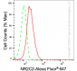 KD-Validated Anti-NR2C2 Rabbit Monoclonal Antibody